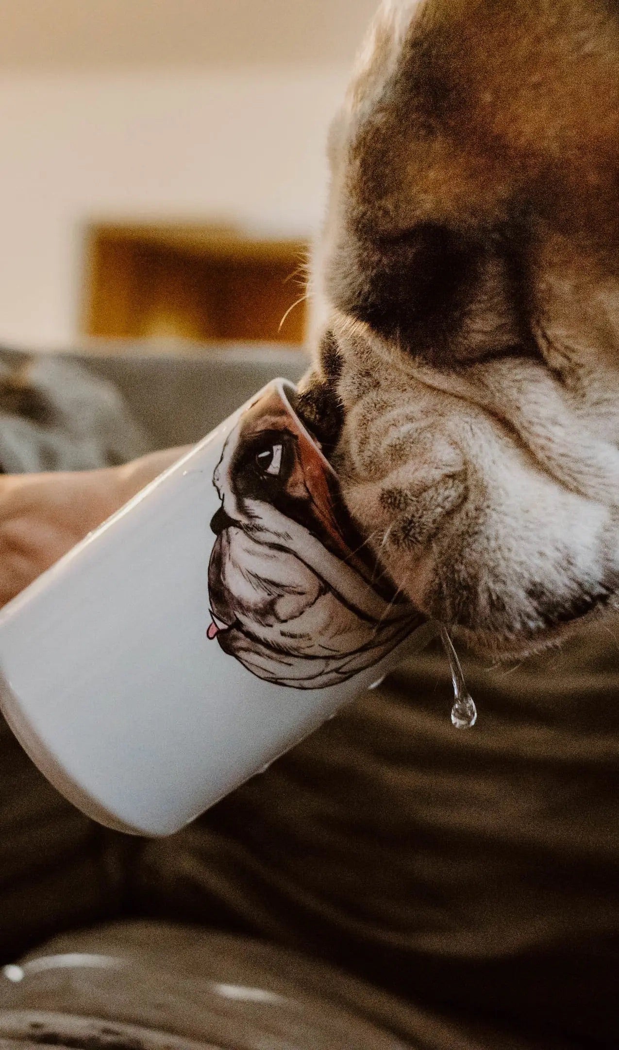 English Bulldog Snout Mug